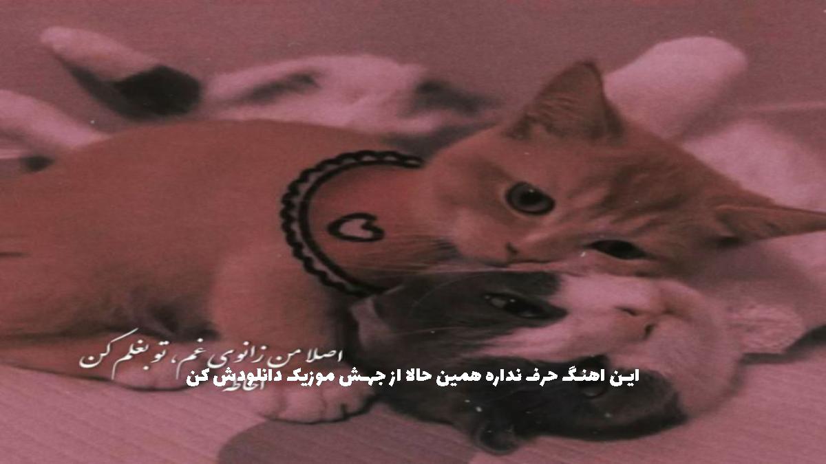 دانلود آهنگ مواظبم باش از بیلی ایلیش و د دان
